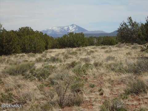 3435 E Valencia Road, Williams, AZ 86046