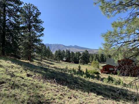 11668 N Rope Arabian Road, Flagstaff, AZ 86004