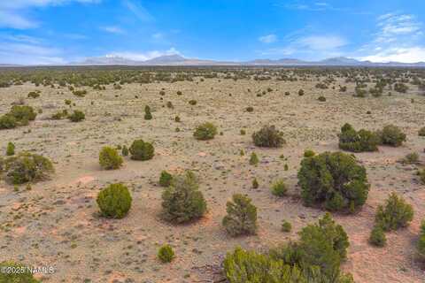 50178020c Silverbear Lane, Williams, AZ 86046