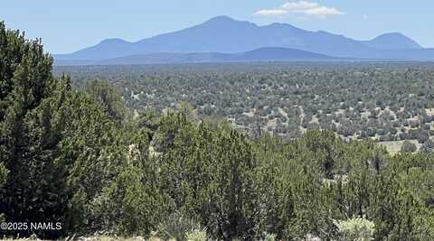 8834 Northstar Road, Williams, AZ 86046