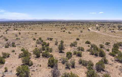 3697 E South Rim Ranch Road, Williams, AZ 86046