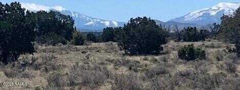 3864 Mohave Trail, Williams, AZ 86046