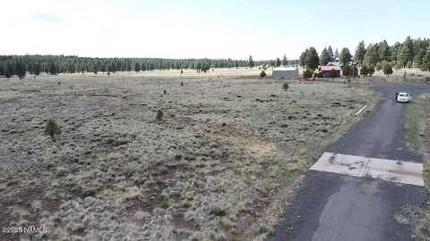 957 S Appaloosa Trail, Williams, AZ 86046