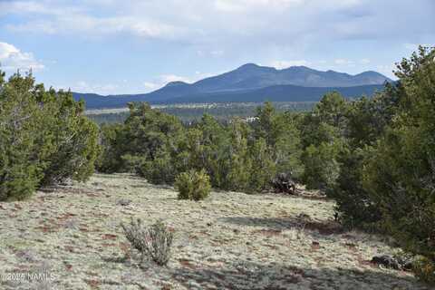 20202107c Honeysuckle Road, Williams, AZ 86046