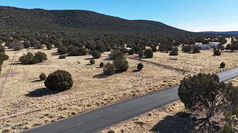 48955 N Anvil Rock Road, Seligman, AZ 86337