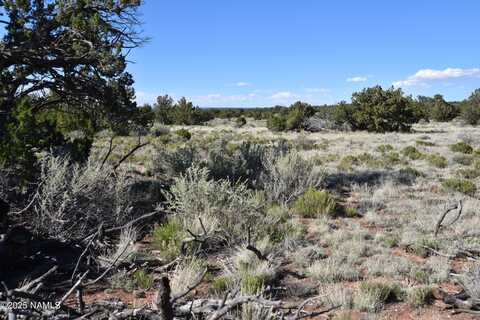 883 S Kenwood Street, Williams, AZ 86046