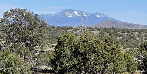 8801 S Rim Ranch Road, Williams, AZ 86046