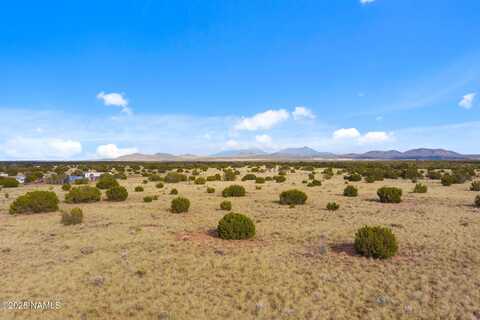 3715 S Noble Drive, Williams, AZ 86046