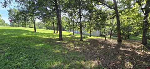 760-12311-000 BETTY JEAN LANE, Bull Shoals, AR 72619