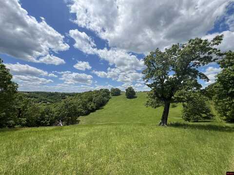 DOWNES ROAD, Bergman, AR 72615
