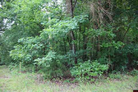 001-09520-000 HWY 178, Lakeview, AR 72642