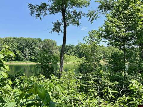 Lot 49 CANE ISLAND ROAD, Flippin, AR 72634