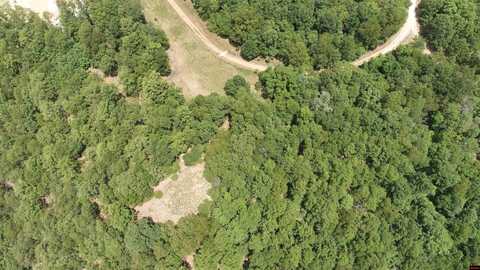 356-00041-000 LAKESHORE DRIVE, Protem, MO 65733