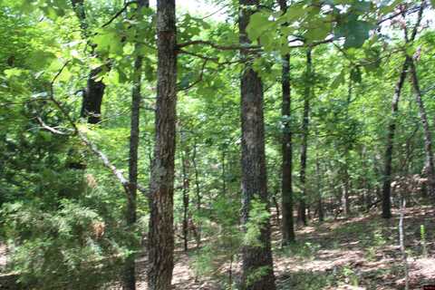 Lot 9B COUNTRY CLUB DRIVE, Theodosia, MO 65761