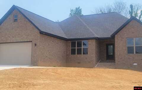 238 S SHEEKS DRIVE, Mountain Home, AR 72653
