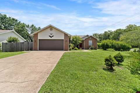 301 FOREST DRIVE, Mountain Home, AR 72653