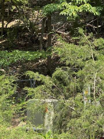 002-1110-007 OAK GLEN DRIVE, Mountain Home, AR 72653