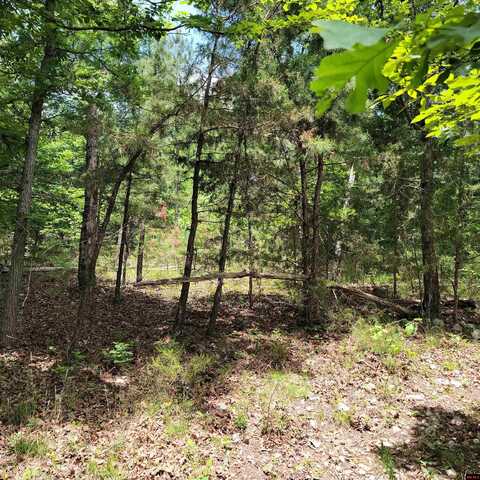 Lot 2 REYNOLDS ISLAND COVE, Elizabeth, AR 72531
