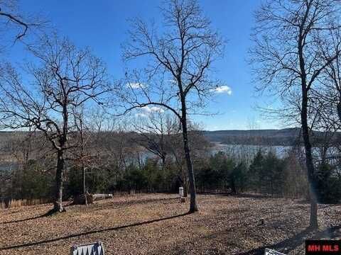 343 LAKEWOOD DRIVE, Yellville, AR 72687