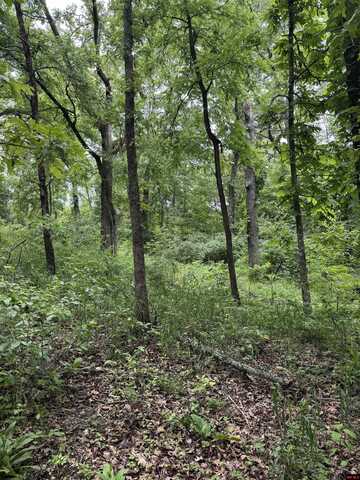 002-05103-056 SAVANNAH PLACE, Mountain Home, AR 72653