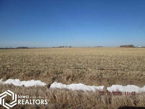 Nelson Avenue, Belmond, IA 50421