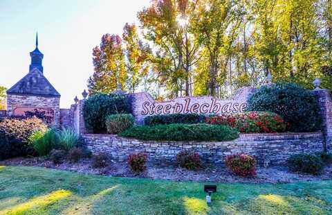 41 Steeplechase Dr, Oxford, MS 38655