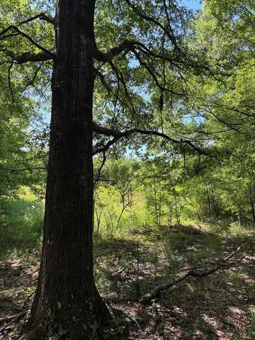 4506 Highway 330, Coffeeville, MS 38922