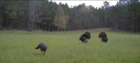 200 CR 444, Oxford, MS 38655