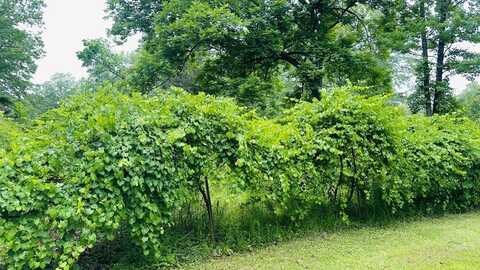 413 N. Pontotoc, Bruce, MS 38915