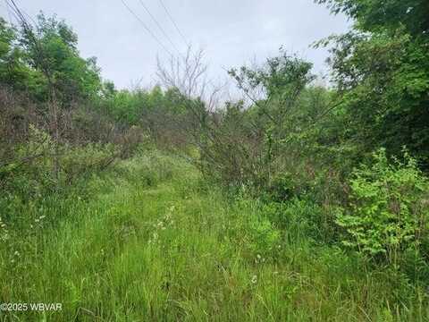 0 Burlington Turnpike, Towanda, PA 18848