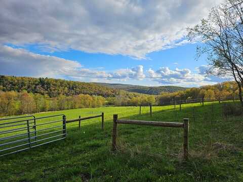 377 Bingham Center Road, Genesee, PA 16923