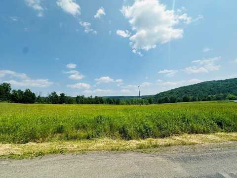 0 Moore Hill Rd, Nichols, NY 13812