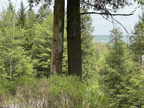Lot 16 Casentino Court, Davis, WV 26260