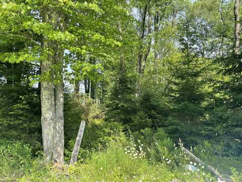 Lot 20 Hanlin Road, Bruceton Mills, WV 26525