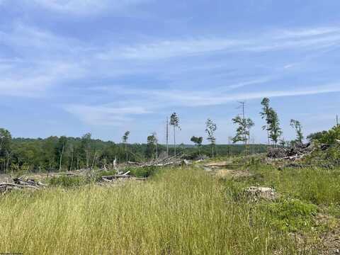 Lot 17 Hanlin Road, Bruceton Mills, WV 26525
