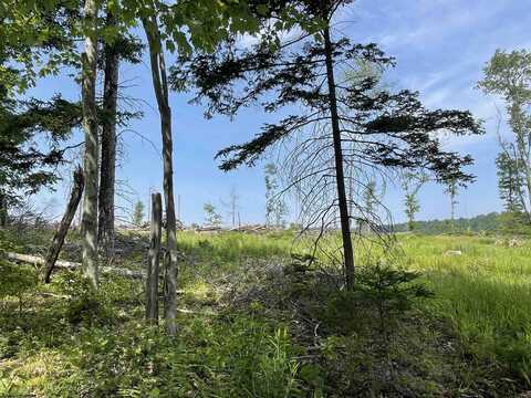 Lot 19 Hanlin Road, Bruceton Mills, WV 26525