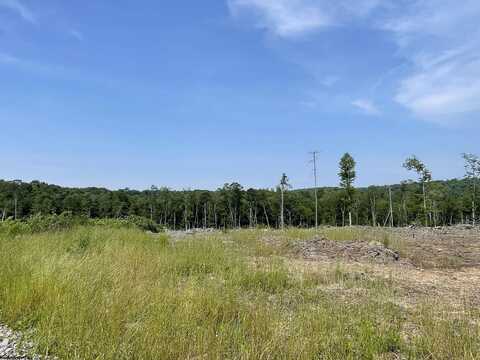 Lot 18 Hanlin Road, Bruceton Mills, WV 26525