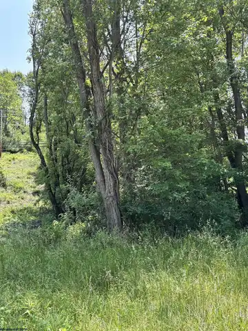 LOT 4 Barbour County Highway, Philippi, WV 26416