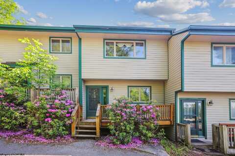 A4 Four Seasons Drive, Davis, WV 26260