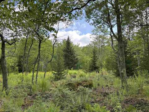 Lot 9 Chickadee Drive, Davis, WV 26260