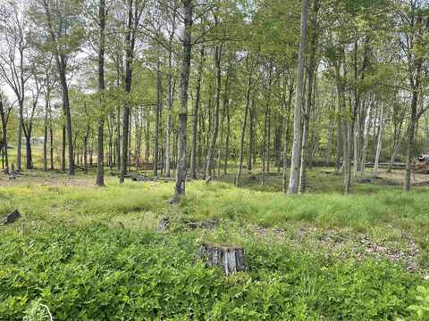 TBD West Street, Reedsville, WV 26547