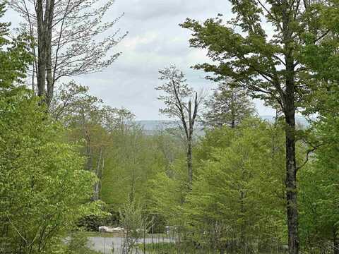 Lot 15 Casentino Court, Davis, WV 26260