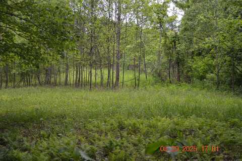 805 Fiddlers Glen Road, Heaters, WV 26627