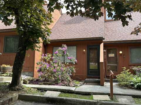 4 Pendletonheim Circle, Davis, WV 26260