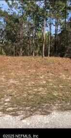 COLONEL Avenue lot: 13, Webster, FL 33597
