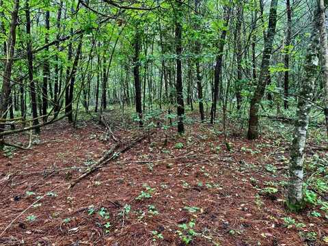 12 Brookhaven, Young Harris, GA 30582