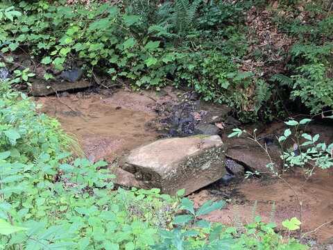 604 Nugget Lane, Ellijay, GA 30546