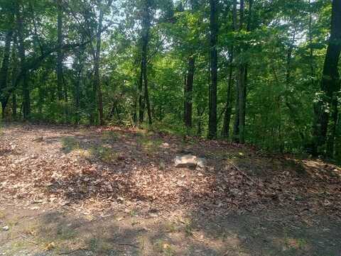 Lt 1227 Hilton Drive, Ranger, GA 30734