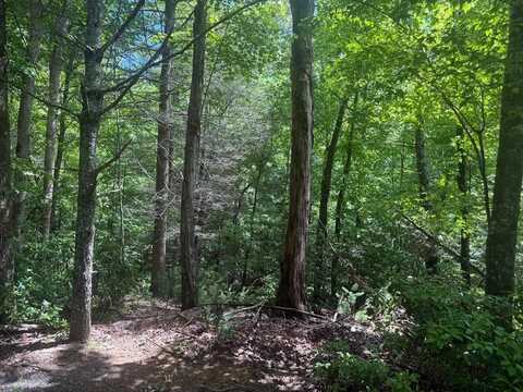 Lot 68 Hunters Path, Ellijay, GA 30540