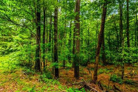 32 Oak Hill Road, Ellijay, GA 30540